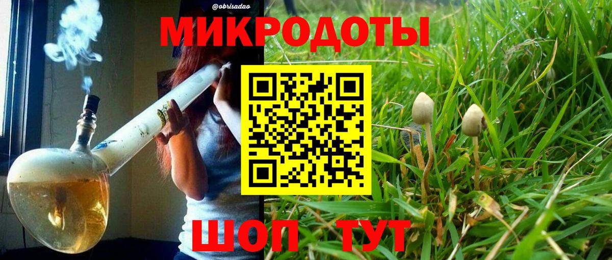 Псилоцибиновые грибы MAGIC MUSHROOMS  Вход с VPN  Рубцовск  Галлюциногенные грибы Magic Shrooms 
