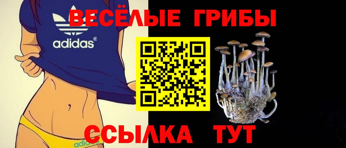 Псилоцибиновые грибы прущие грибы Рубцовск